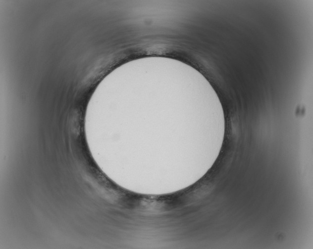 X0000111900311200908241009