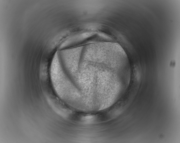 X0000111900312200908241009