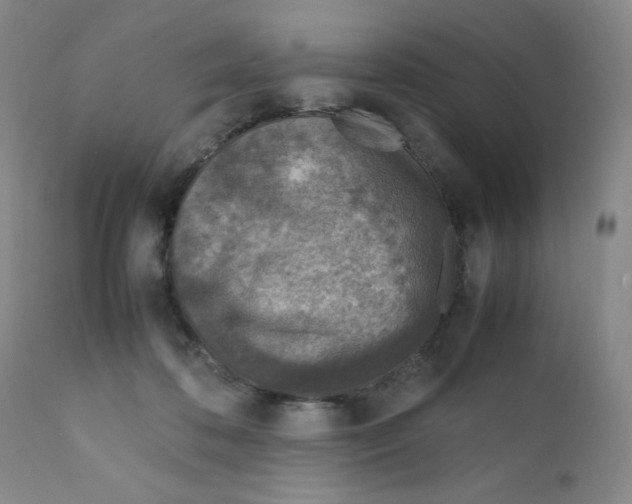 X0000111900316200908241009