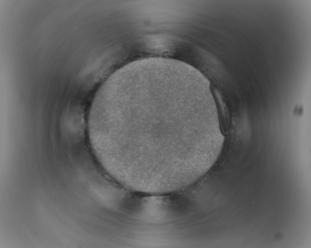 X0000111900320200908241009