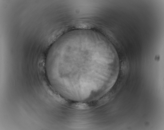 X0000111900322200908241009