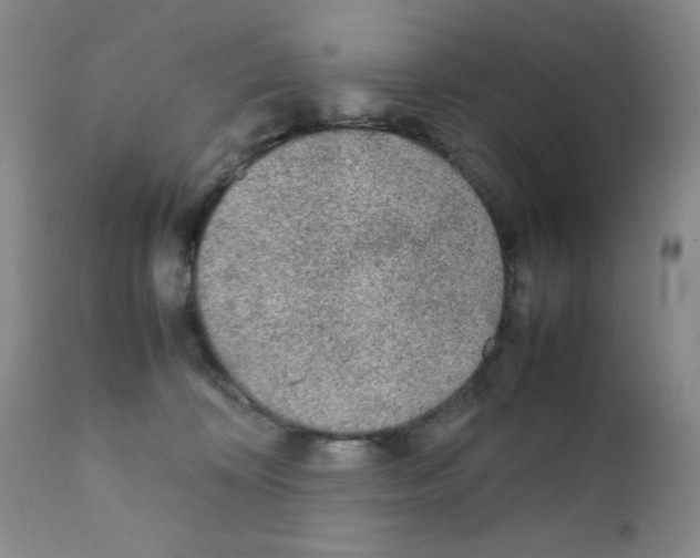 X0000111900324200908241009