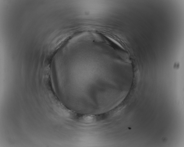 X0000111900325200908241009