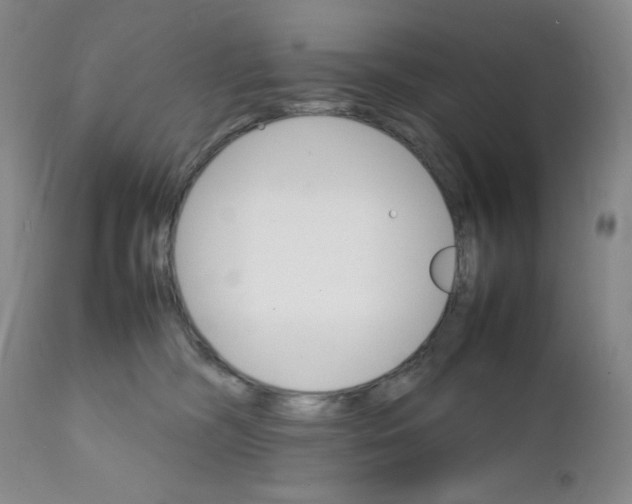 X0000111900326200908241009