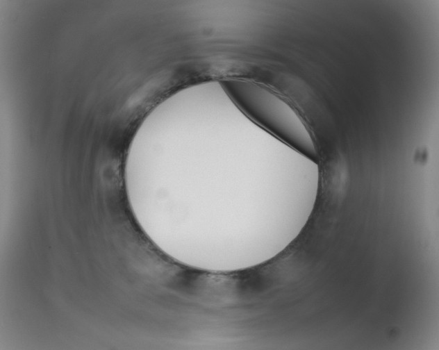 X0000111900327200908241009