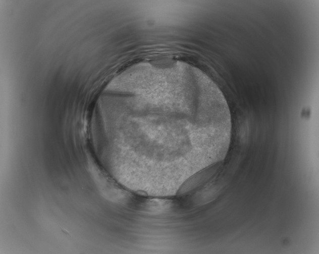 X0000111900328200908241009