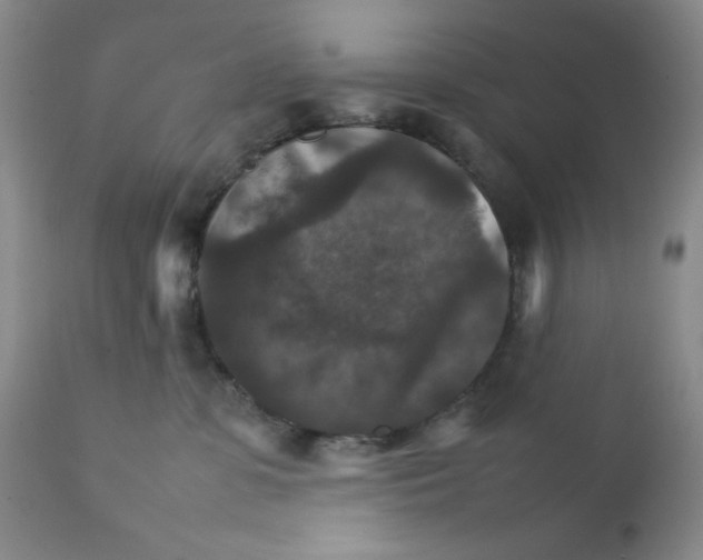 X0000111900331200908241009