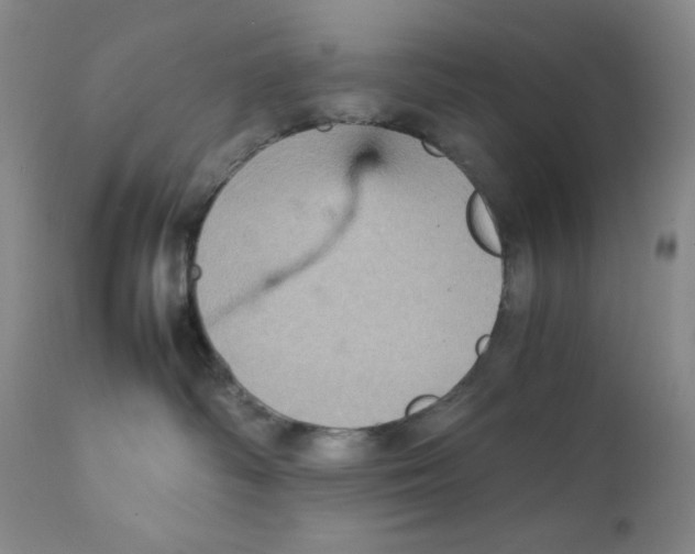 X0000111900334200908241009