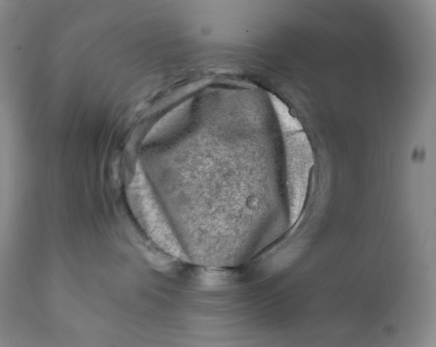 X0000111900336200908241009