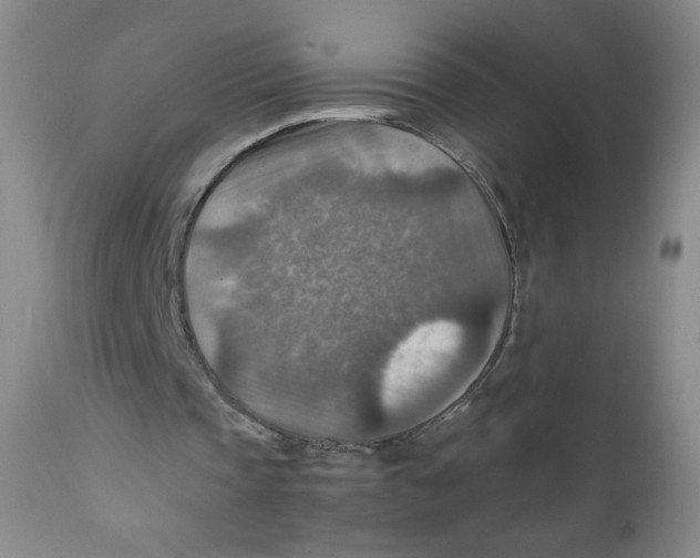 X0000111900337200908241008