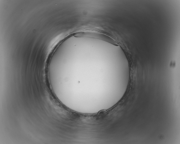 X0000111900340200908241008