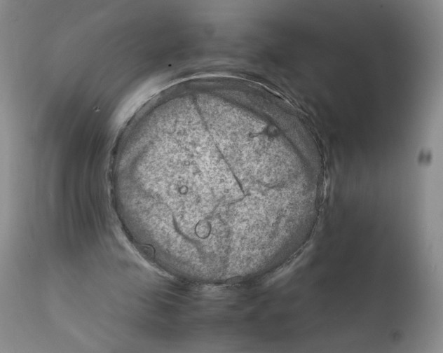 X0000111900341200908241008