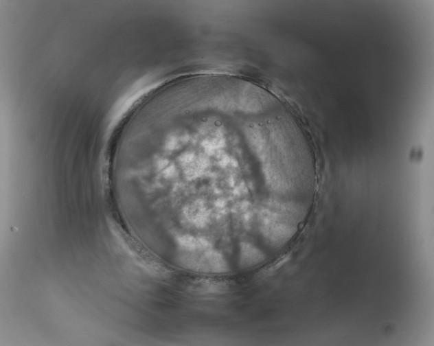 X0000111900343200908241008