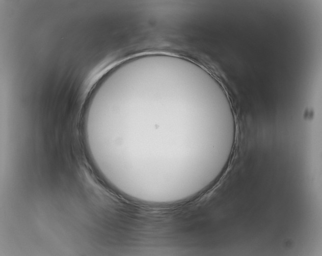 X0000111900344200908241008