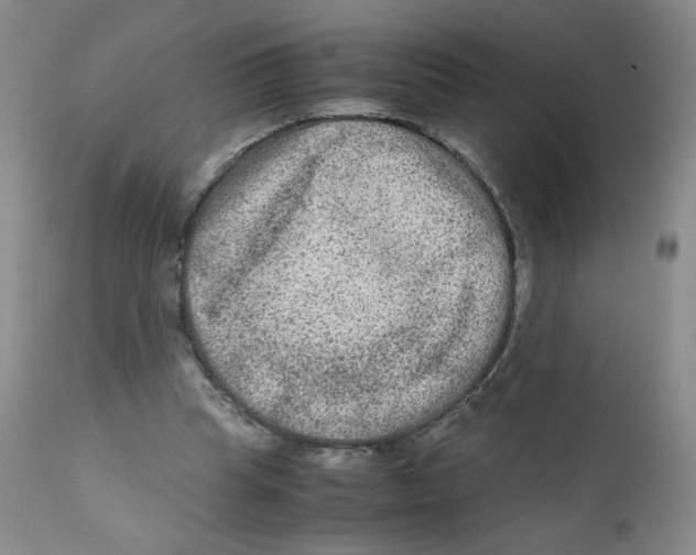 X0000111900345200908241008