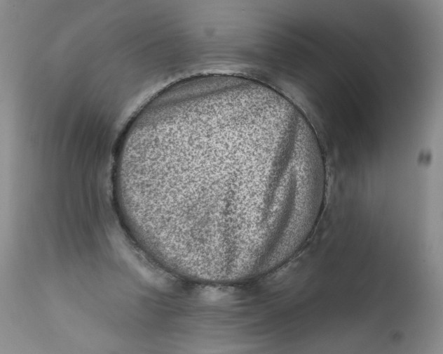 X0000111900346200908241008