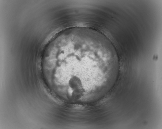 X0000111900347200908241008