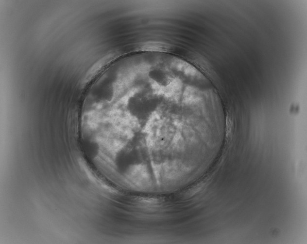 X0000111900349200908241008