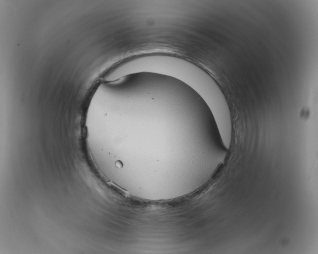 X0000111900350200908241008