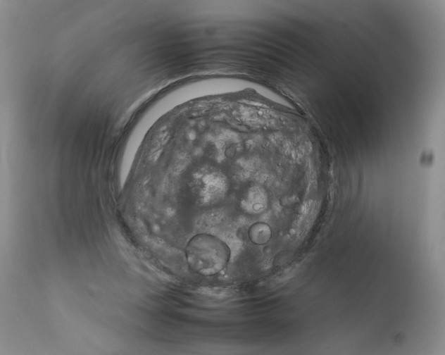 X0000111900351200908241008