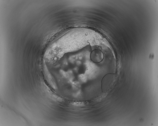 X0000111900353200908241008