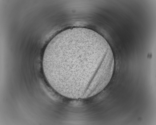 X0000111900354200908241008