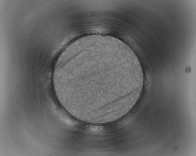 X0000111900355200908241008