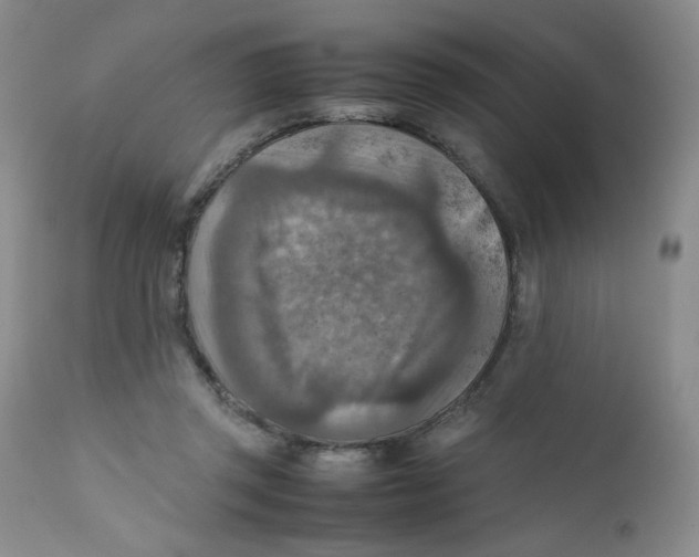 X0000111900357200908241008