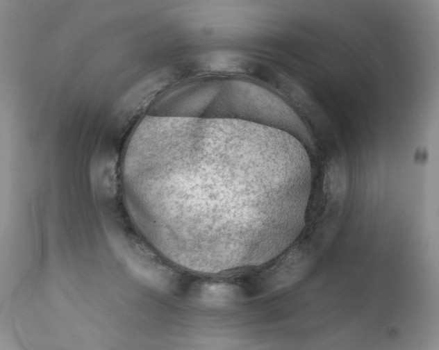 X0000111900360200908241008