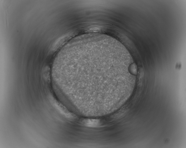 X0000111900361200908241008