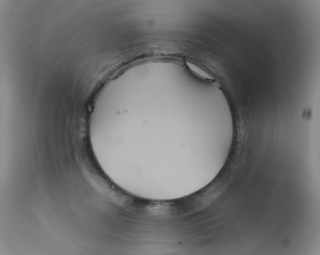 X0000111900362200908241008