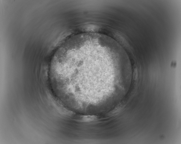 X0000111900363200908241008