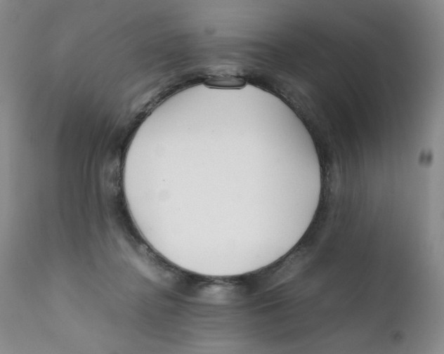 X0000111900364200908241008