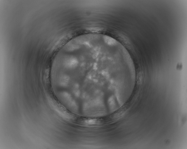 X0000111900365200908241008