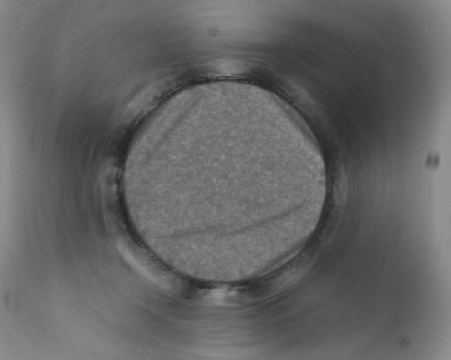 X0000111900366200908241008