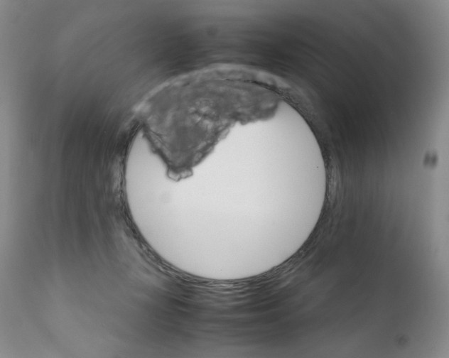 X0000111900367200908241008