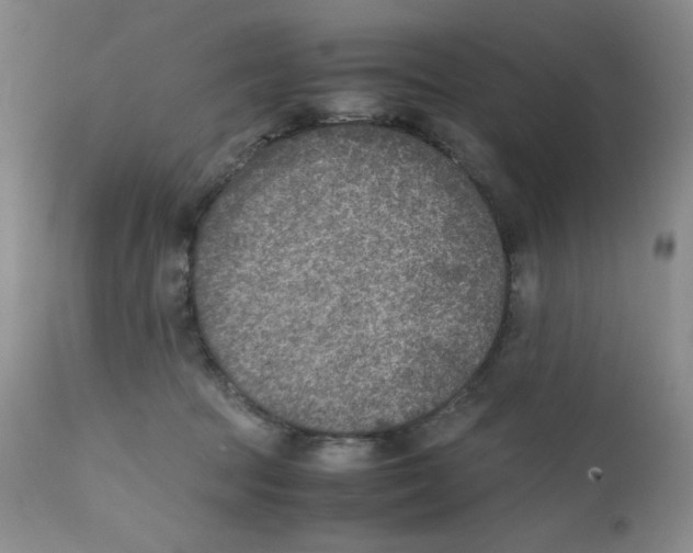 X0000111900369200908241008