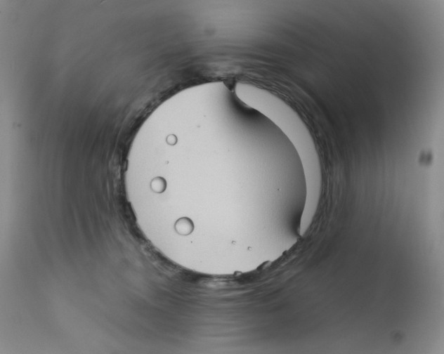 X0000111900372200908241008