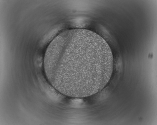 X0000111900374200908241008