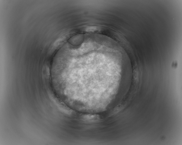 X0000111900375200908241008