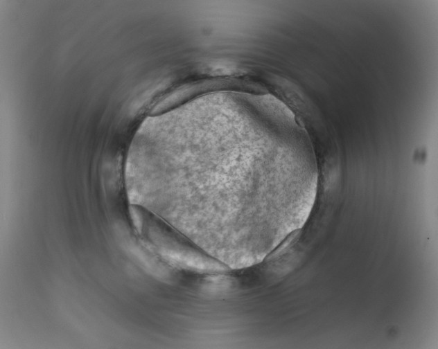 X0000111900376200908241008