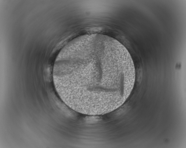 X0000111900378200908241008