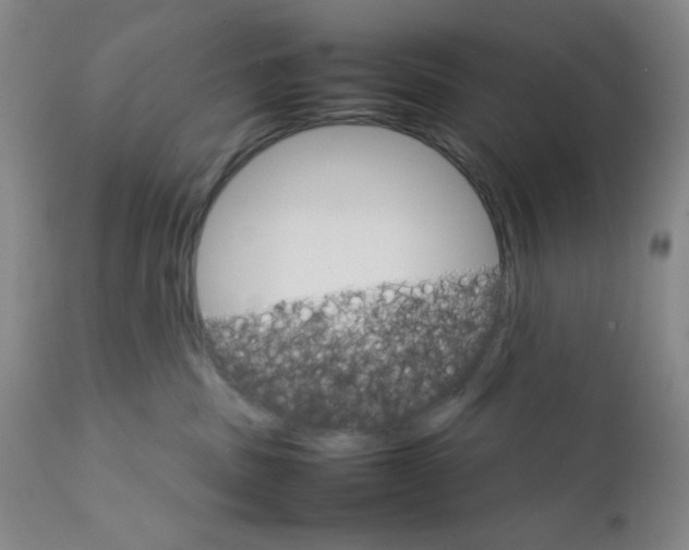 X0000111900379200908241008