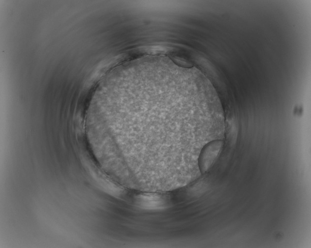 X0000111900381200908241008