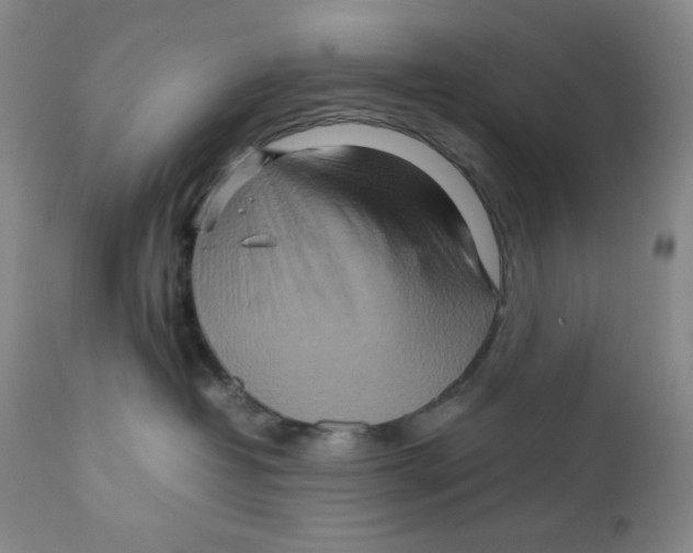 X0000111900382200908241009