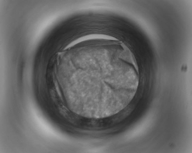 X0000111900383200908241009