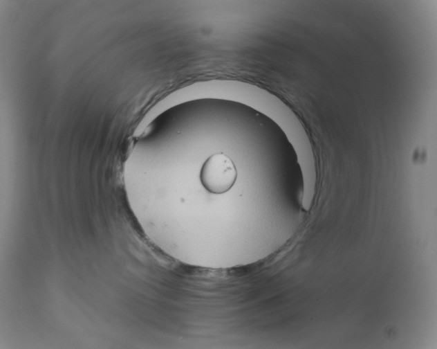 X0000111900384200908241009