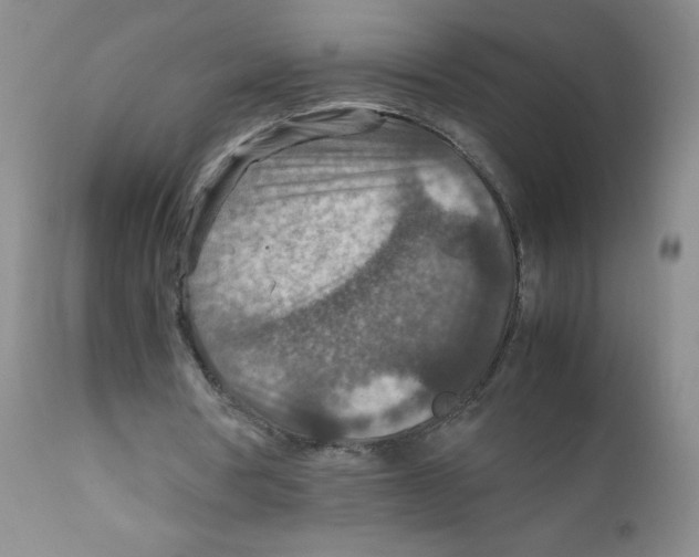 X0000111900386200908241008