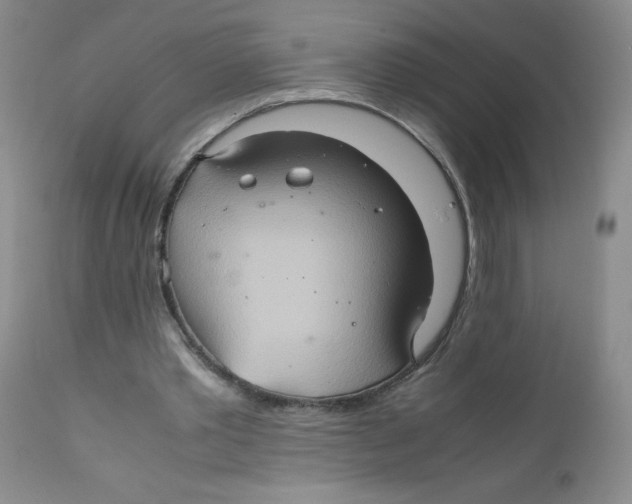 X0000111900389200908241008