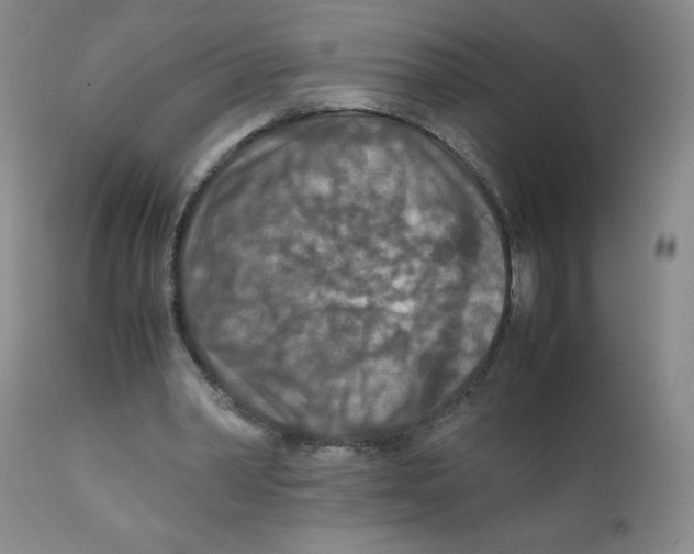 X0000111900390200908241008